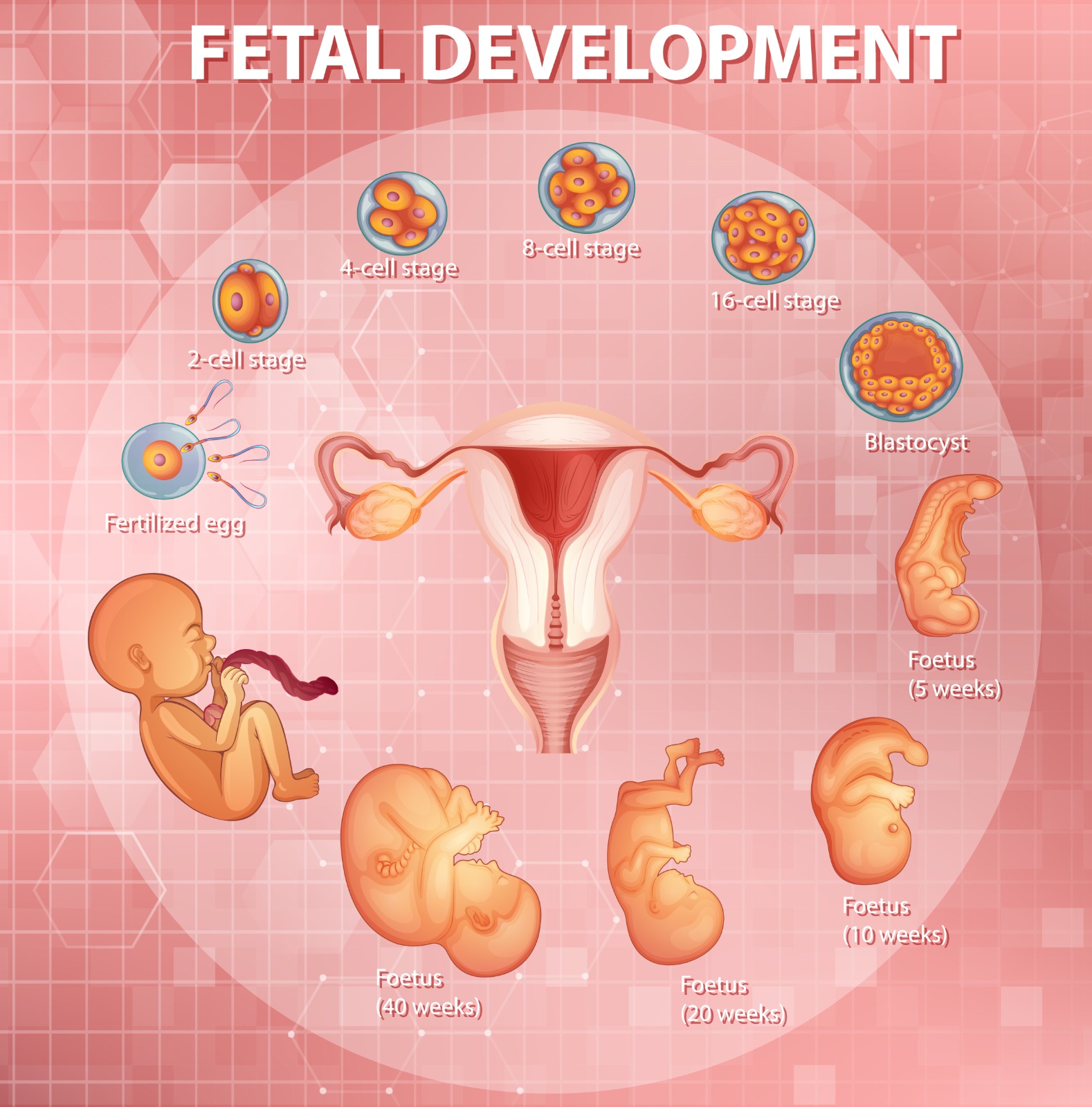સ્ત્રીરોગ સારવાર